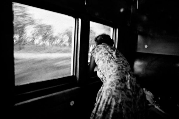 Phil Bayly - The view outside