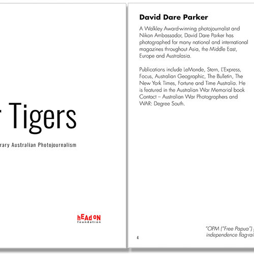 Paper Tigers book