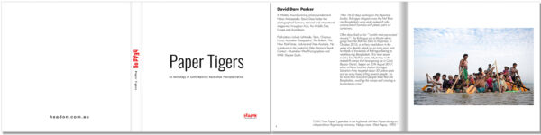 Paper Tigers book